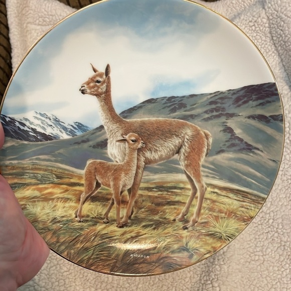 The Vicuña Will Nelson Vintage Last of Their Kind: The Endangered Species Plate - Picture 2 of 15